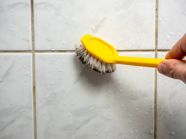 Best Mold Remediation for Schools in Delavan Lake, WI