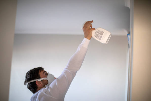 Best Attic Mold Remediation in Delavan Lake, WI
