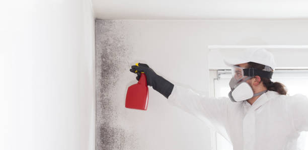 Delavan Lake, WI Mold Remediation Company